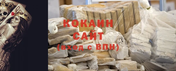 хмурый Алексин