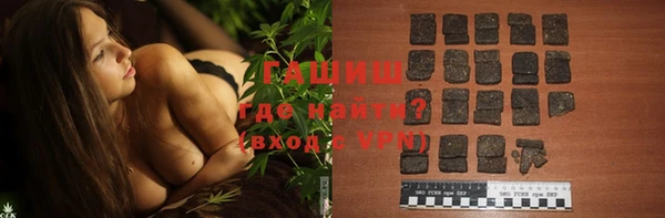 хмурый Алексин