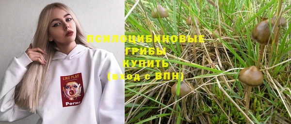 СК Алексеевка