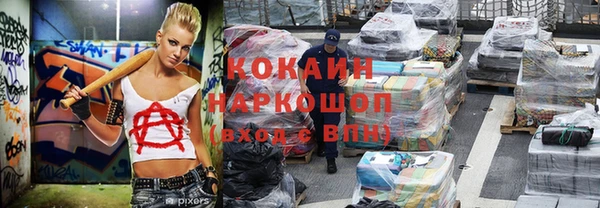 стаф Абинск