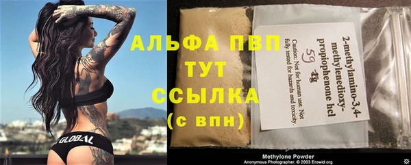 индика Кукмор
